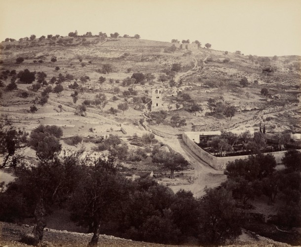 The Mount of Olives and Garden of Gethsemane